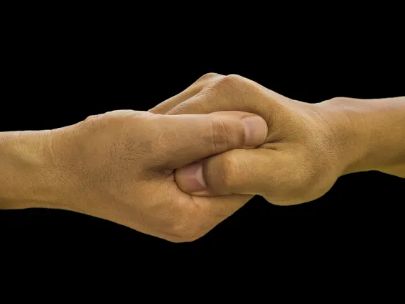 BlueFox Casino Supporto